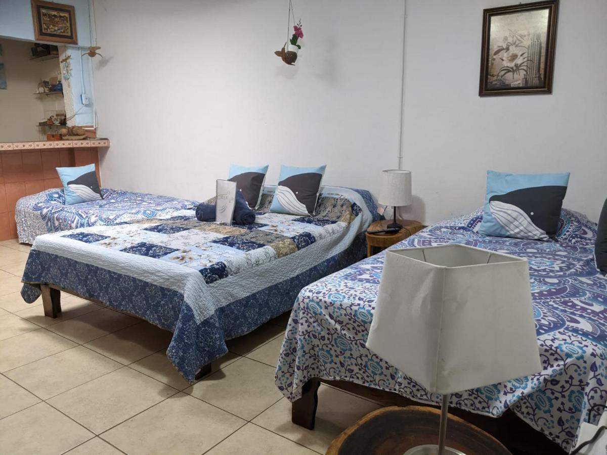 Guesthouse Casa Lapa2 Alajuela Dış mekan fotoğraf
