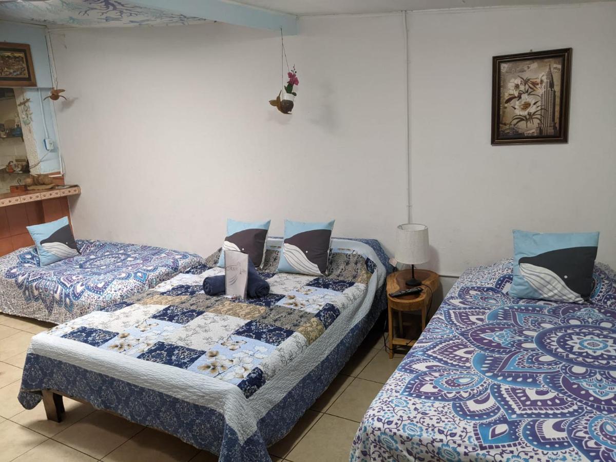 Guesthouse Casa Lapa2 Alajuela Dış mekan fotoğraf